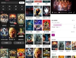 星球视频纯净版：唐人街探案3等2021热播大片免费看，高清无广告-蓝海网