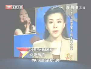 2012 BTV档案 邓丽君未解之谜全解析 720p HDTV高清