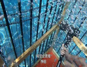 奇葩挑战赛第11季全99集1080P高清中文字幕纪录片-蓝海网