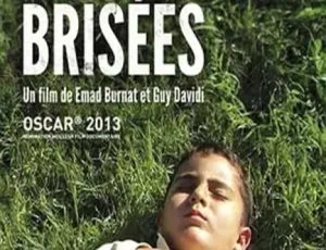 5 Broken Cameras (2011) 法国纪录片 DVDRip