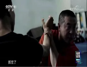 藏着的武林 高清全6集国语中字 真实武林揭秘纪录片-蓝海网