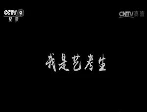 我是艺考生 全4集 720P高清国语中字纪录片