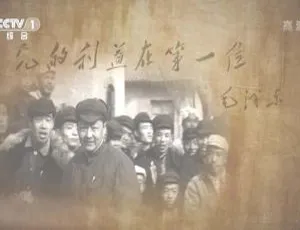 2013 习仲勋文献纪录片 全6集 高清720P