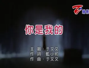 于文文《你是我的》2018国语MV官方版-蓝海网