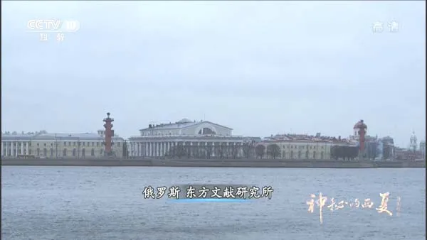 西夏王朝历史
