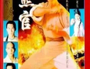 1994香港洪熙官 甄子丹潘志文主演 国粤双语中字 30集全 高清经典武侠剧-蓝海网