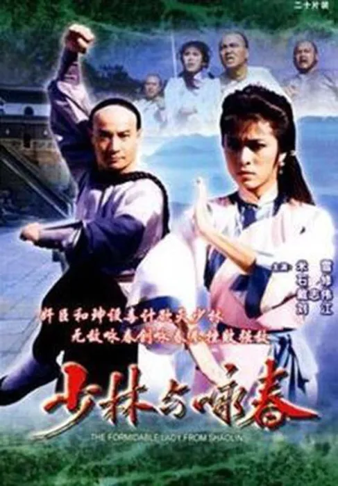 少林与咏春全集高清