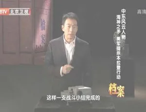 2012 BTV档案 中东风云人物美国猎杀本·拉登行动 720p HDTV全记录-蓝海网