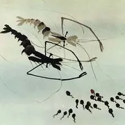 小蝌蚪找妈妈