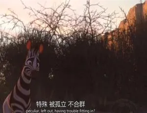 斑马总动员 儿童教育电影 英语中英双语版