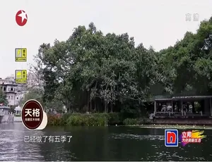 梦想改造家第五季全13集 高清国语中字完整版