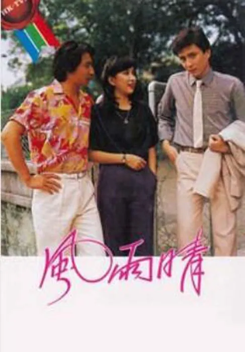 风雨晴1981电视剧全集
