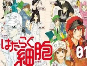 工作细胞第一季全14集高清1080P原声中文字幕合集
