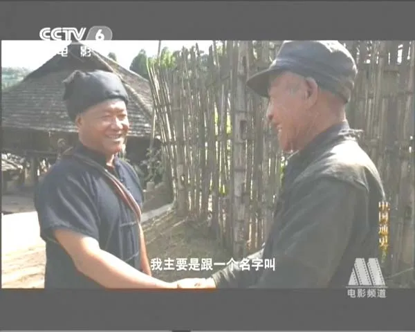 魏晋南北朝隋唐历史解析