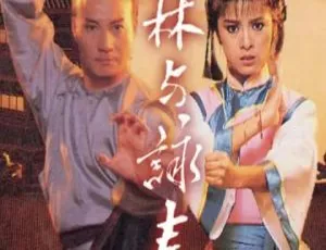 1987香港经典动作剧少林与咏春 米雪 石修主演 国粤双语全集