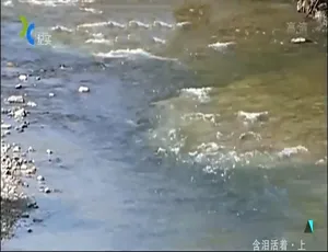 含泪活着 2006 纪录片 1080P高清 2集全 国语中字