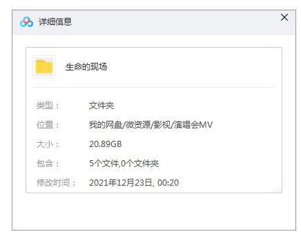 伍佰演唱会
