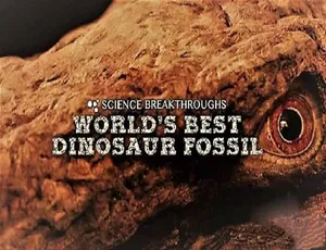 世界最佳恐龙化石纪录片 高清720P MP4英语原声