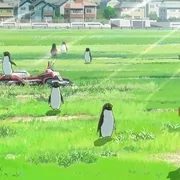 企鹅公路 动画电影