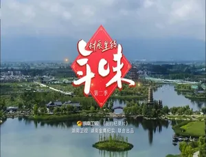 时辰里的年味 第二季全4集 国语中字 高清纪录片-蓝海网