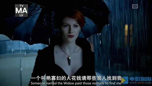 吴彦祖美剧