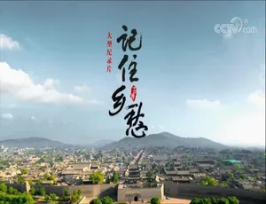 记住乡愁 第六季全57集 国语中字 720P高清纪录片