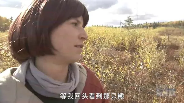 致命动物行为
