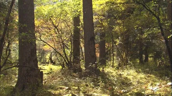 世界自然遗产九寨沟
