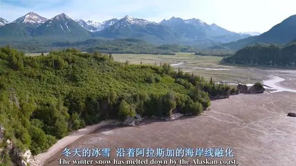 熊踪秘境 高清双语