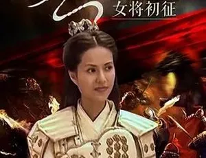 2001杨门女将之女将初征 国语高清 全1集珍藏版-蓝海网