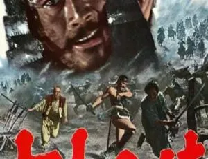 1954日本剧情经典 七武士 国语配音 中文字幕-蓝海网