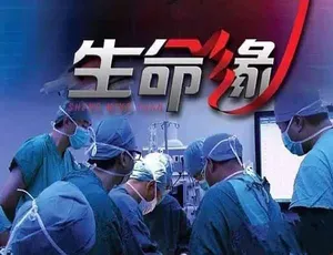 生命缘第一季 高清纪录片全集