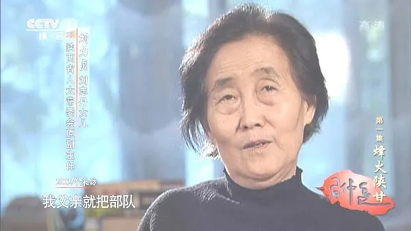 六集革命生涯纪实