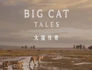 大千世界 大猫传奇 Big Cat Tales 全5集 TS蓝光高清完整版