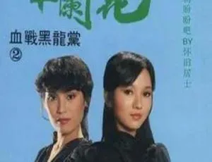女黑侠木兰花 1981 武侠动作 经典怀旧 高清修复剧集-蓝海网