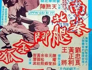 1977香港经典动作片南拳北腿斗金狐国语版-蓝海网