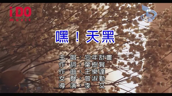 忘年计划专辑