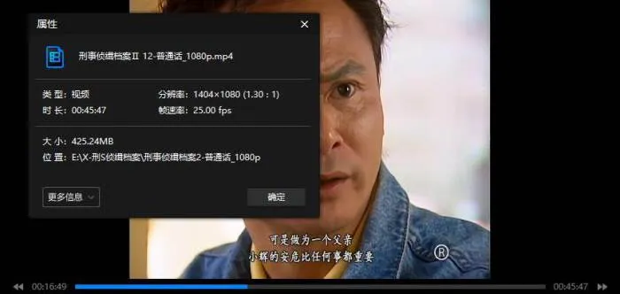 刑事侦缉档案高清国语