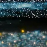 2005生命的意义