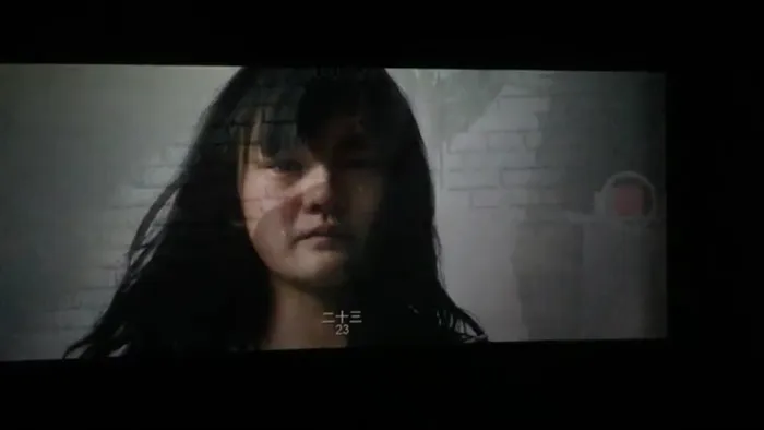 少年复仇悬疑电影