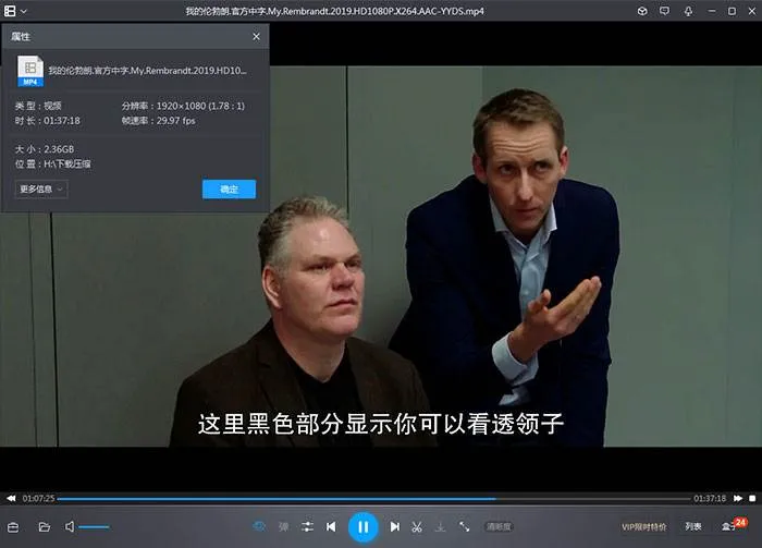 荷兰黄金时代绘画