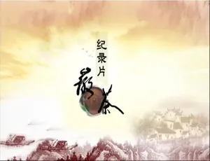徽茶 2013 纪录片 高清全2集 国语配音中文字幕