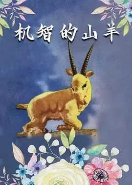 国语中字 MKV