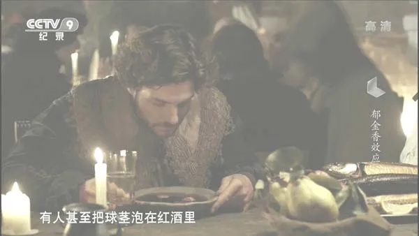 荷兰郁金香泡沫