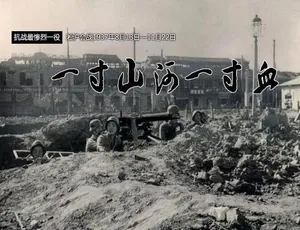 一寸山河一寸血 1995 纪录片 42集国语中英双字 720P高清-蓝海网
