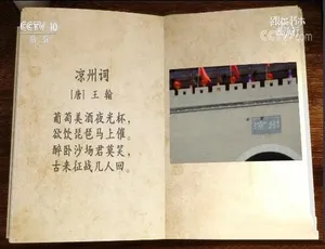 跟着书本去旅行 河西走廊纪录片全集 高清TS蓝光5集