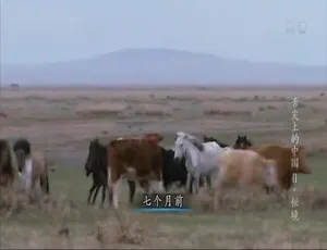 舌尖上的中国第二季 全7集 1080P高清 国语中字 珍藏版-蓝海网