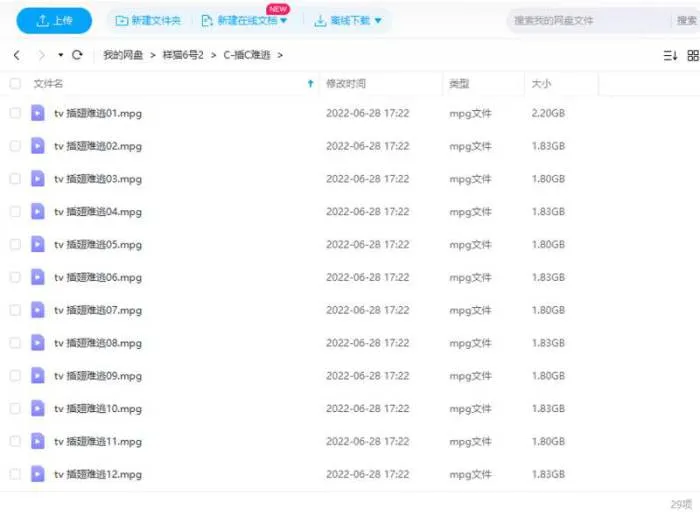 插翅难逃赵燕国璋