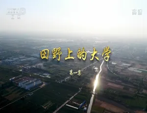 田野上的大学纪录片 全2集 1080P MP4高清