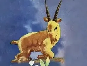1956大陆经典动画 机智的山羊 国语中字 480P MKV高清